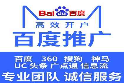 某电商平台的SEM推广实践与效果展示